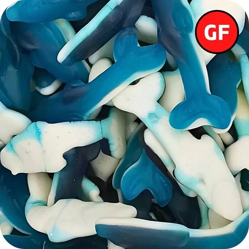 Giant dolphins vidal - giant,